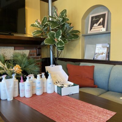 「見えない肌」のスキンケア～頭皮からはじめる美の習慣～